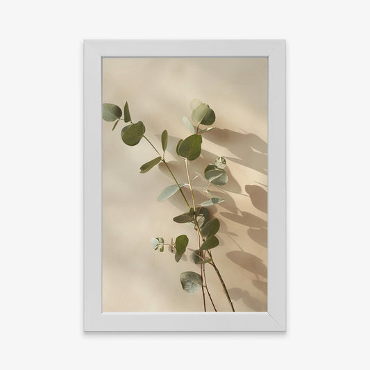 Eucalyptus Harmony