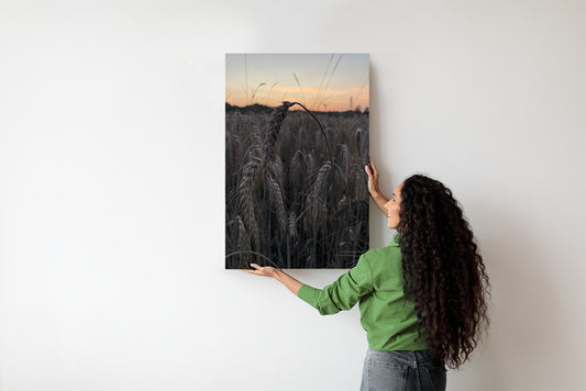 Kłos o zmierzchu Plakat