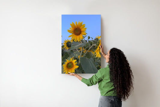 W stronę słońca Plakat