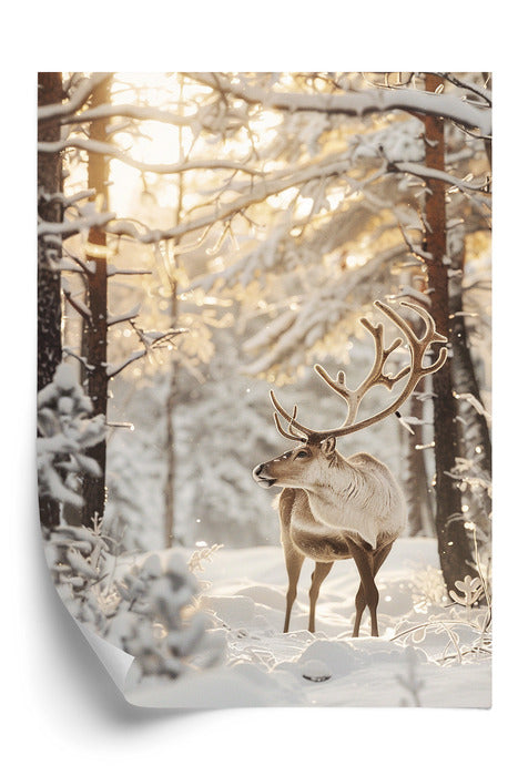 Plakat Złoty Poranek z Reniferem