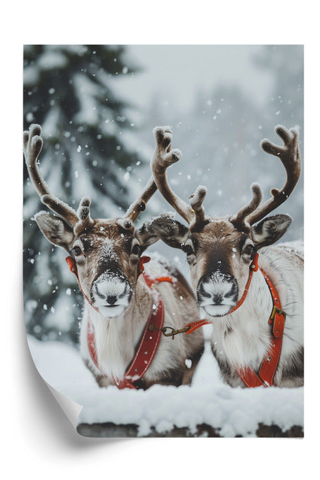 Plakat Śnieżny Duet