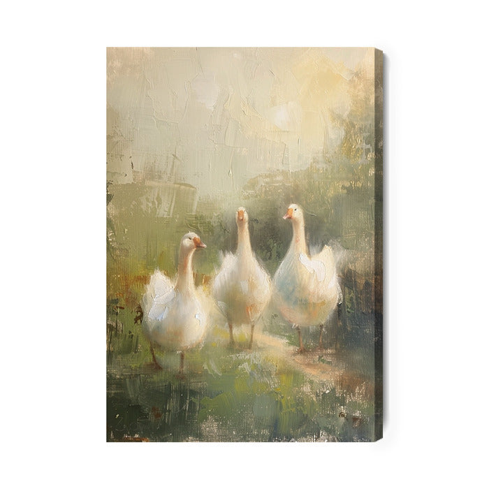 Spacer gęsi