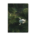 White Swan