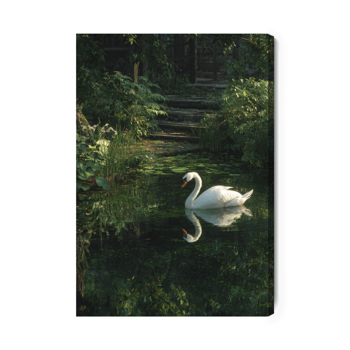 White Swan