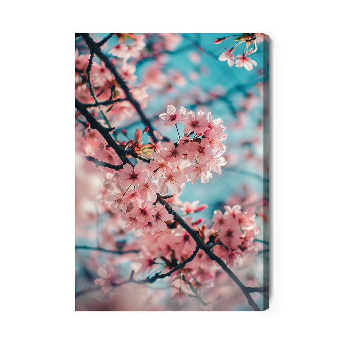 Cherry Blossom Heaven