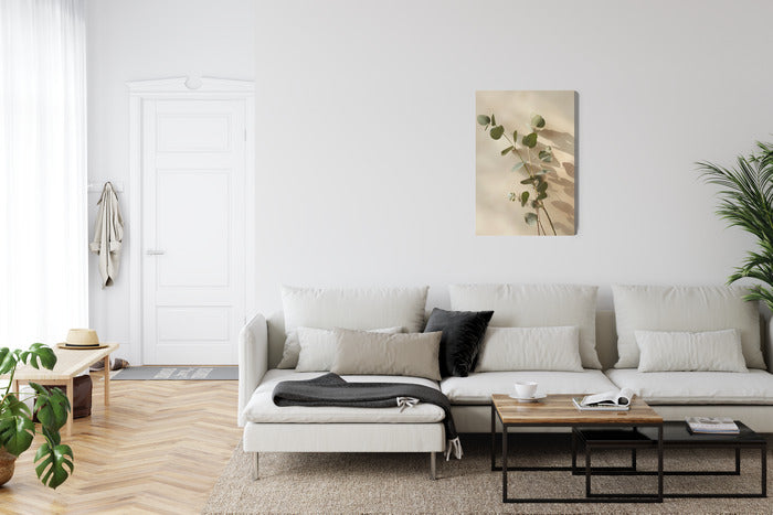 Eucalyptus Harmony
