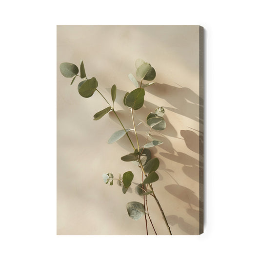 Eucalyptus Harmony