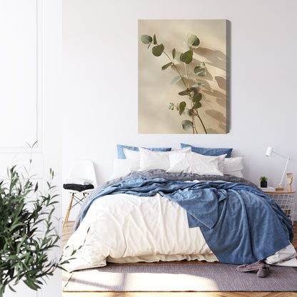 Eucalyptus Harmony