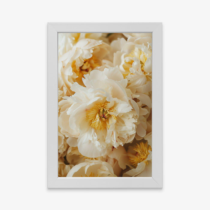 Cream & Gold