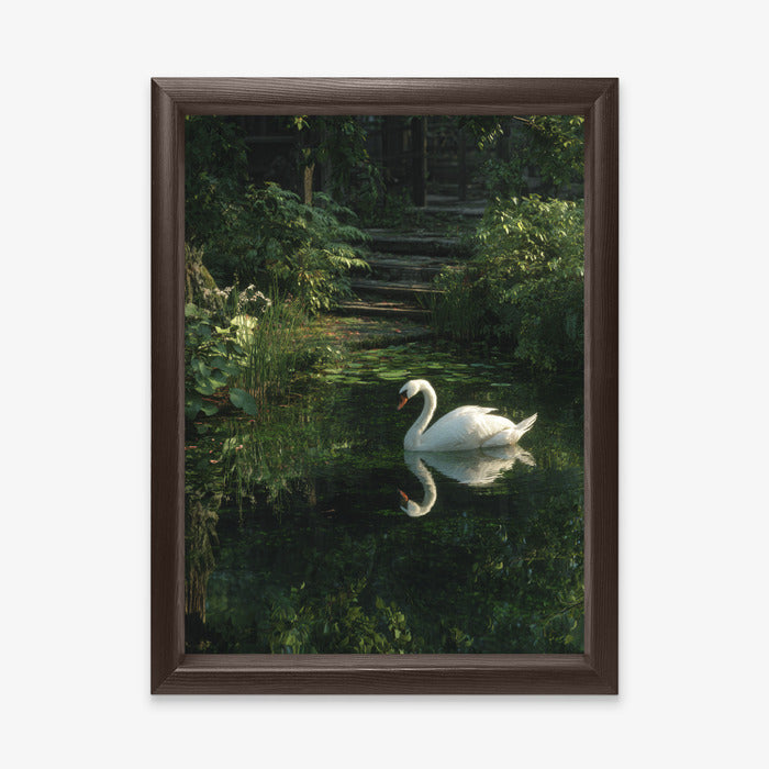 White Swan