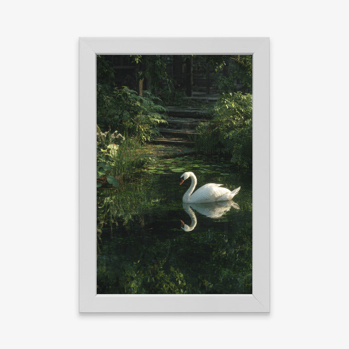 White Swan