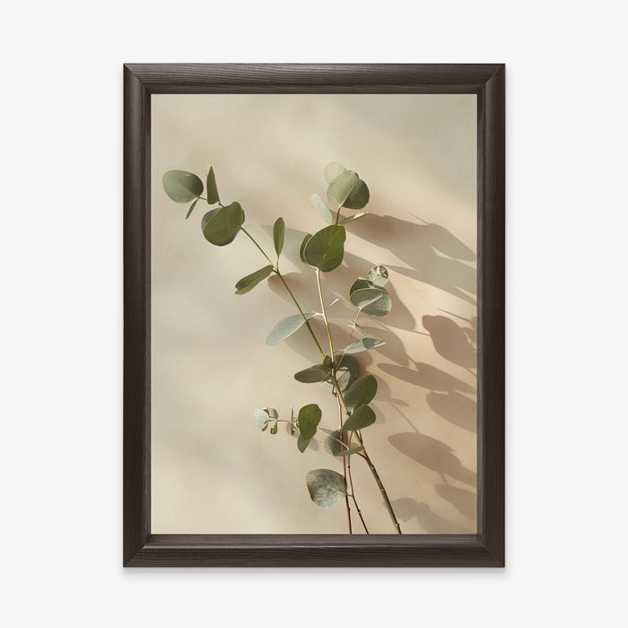 Eucalyptus Harmony
