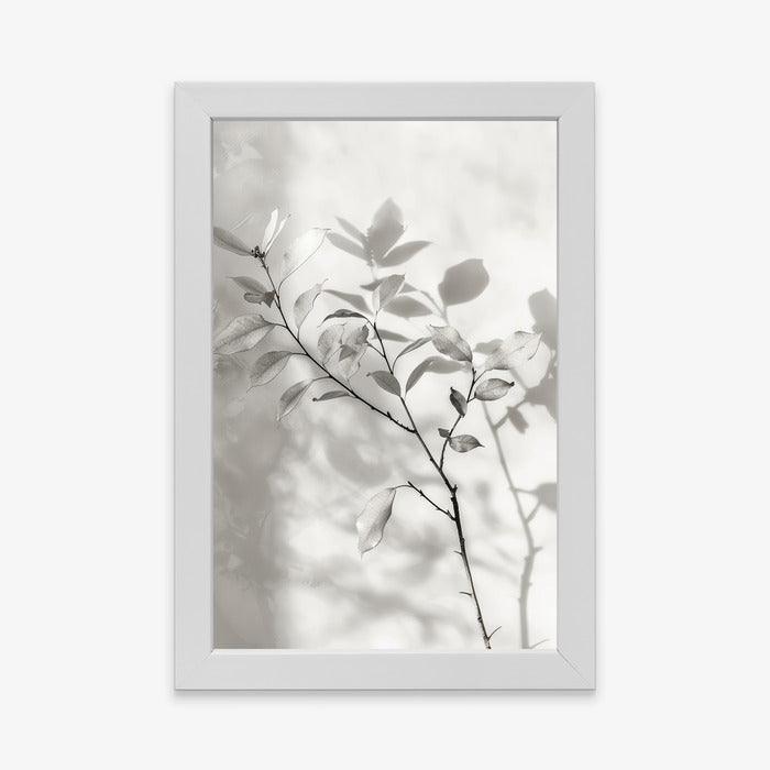 Soft Silhouette