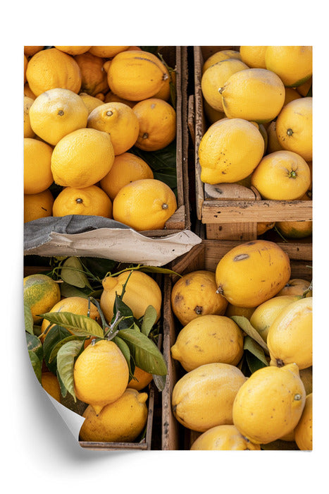 Solare limones Plakat