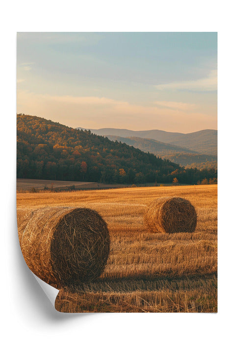 Po Żniwach Plakat