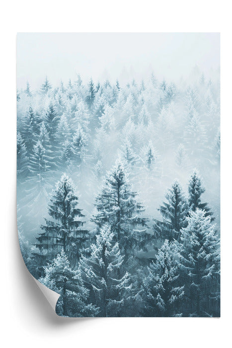 Plakat Mglisty Zimowy Las