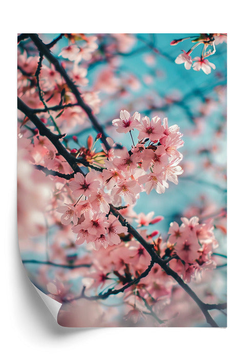 Plakat Cherry Blossom Heaven