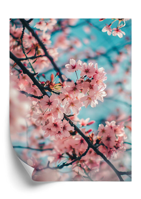 Plakat Cherry Blossom Heaven
