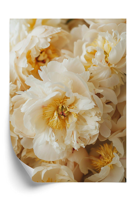Plakat Cream & Gold