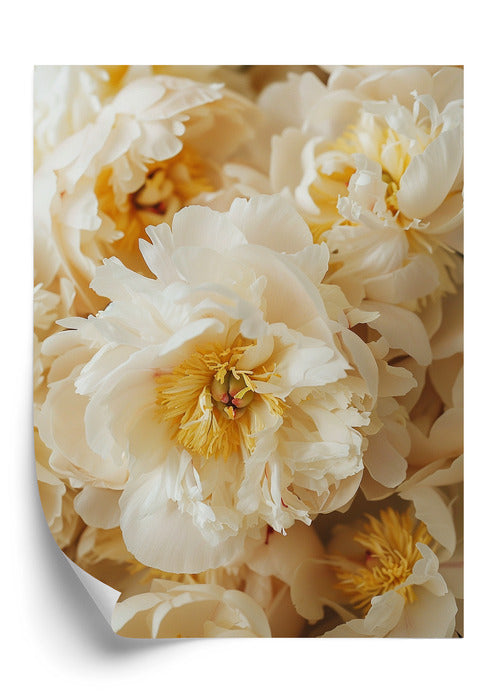 Plakat Cream & Gold