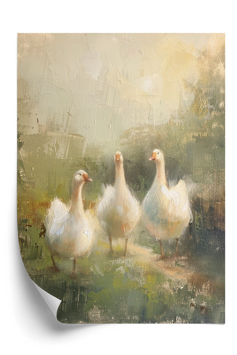 Plakat Spacer Gęsi