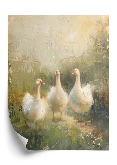 Plakat Spacer Gęsi
