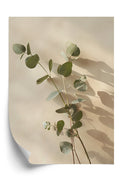 Eucalyptus Harmony Plakat
