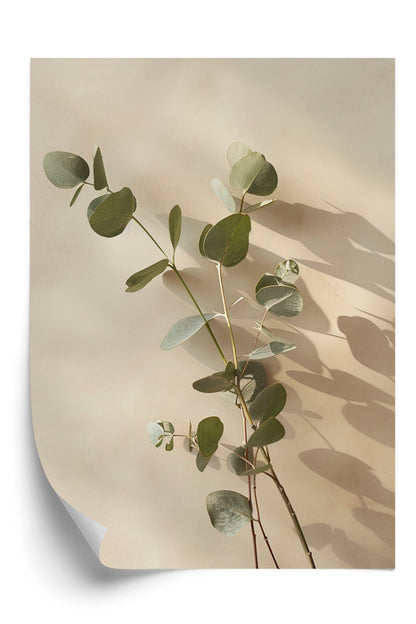 Eucalyptus Harmony Plakat