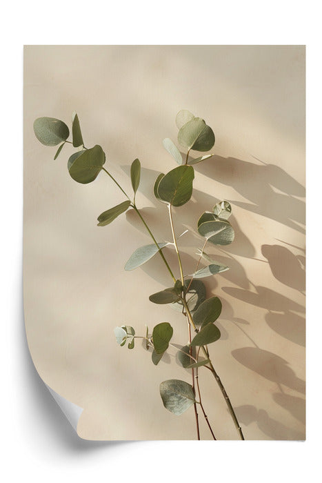 Eucalyptus Harmony Plakat