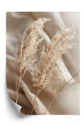 Dust & Light Plakat