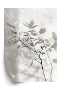 Soft Silhouette Plakat