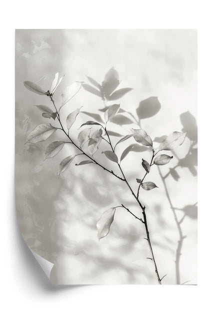 Soft Silhouette Plakat