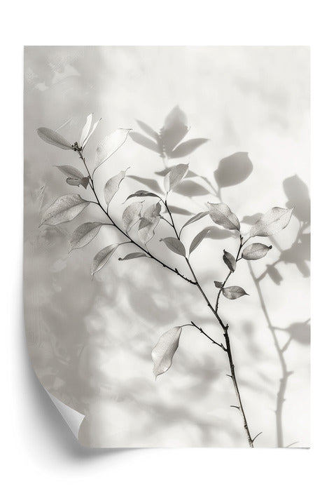 Soft Silhouette Plakat